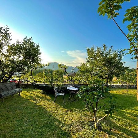 فيربازار Country House Djurisic المظهر الخارجي الصورة