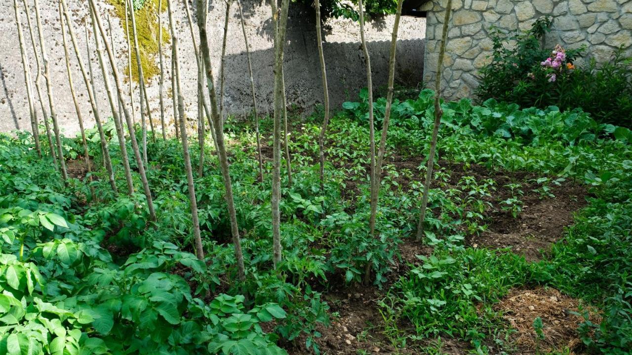 فيربازار Country House Djurisic المظهر الخارجي الصورة