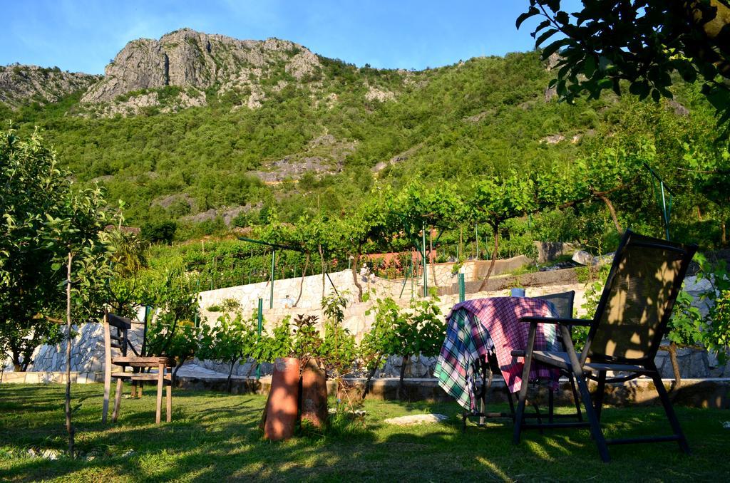 فيربازار Country House Djurisic المظهر الخارجي الصورة